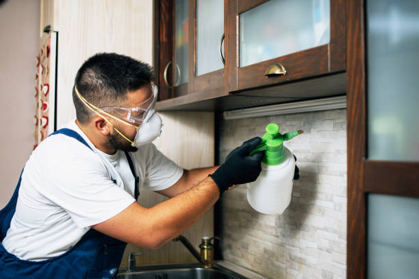 Best Termite Control Services  in Rutland, VT