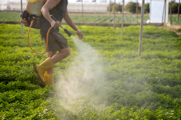 Best Best Pest Control Companies  in Rutland, VT