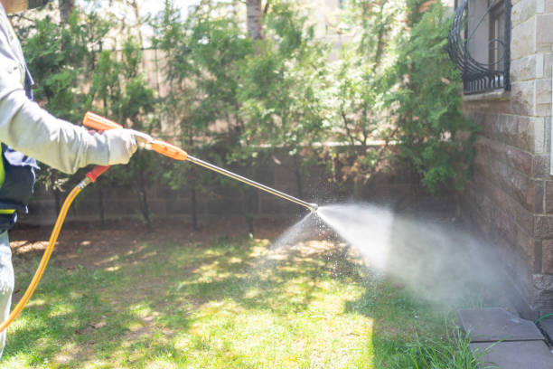 Reliable Rutland, VT Pest Control Solutions