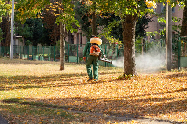 Wasp Removal Services in Rutland, VT