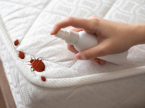 Best Pest Inspection Near Me  in Rutland, VT